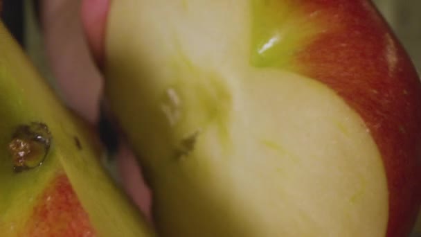 Zbliżenie jabłka — Wideo stockowe