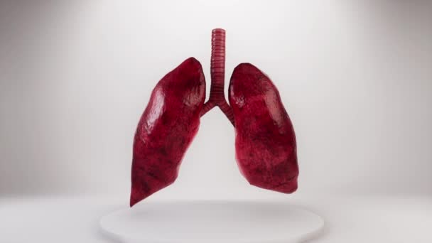 A Push in to reveal lungs expanding and contracting behind white screen — Stock Video