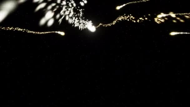 Wunderschönes buntes Feuerwerk. Hochwertiges 4k Filmmaterial — Stockvideo