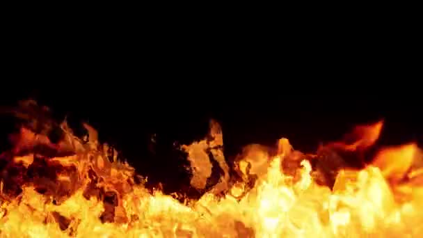 黒い背景の前で燃える炎 — ストック動画