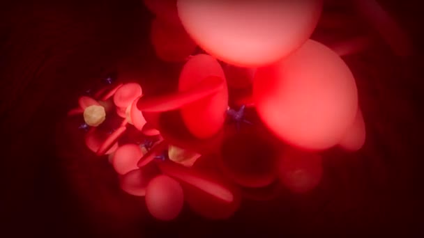 Un glóbulos rojos con virus viajando a través de la animación venosa — Vídeo de stock