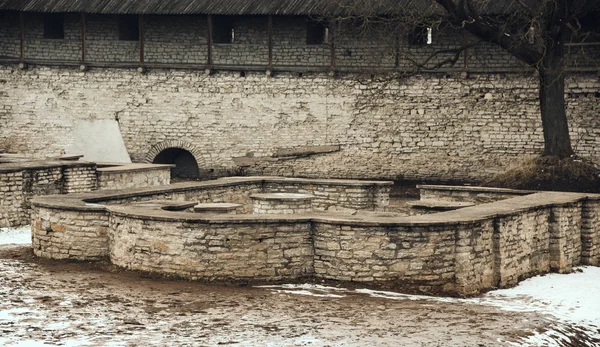 Pskov Dovmont şehir gökyüzü ve bulutlar gri arka plan üzerinde — Stok fotoğraf