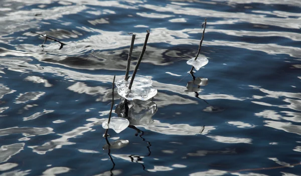 Gelo sobre palhetas no fundo do rio azul — Fotografia de Stock