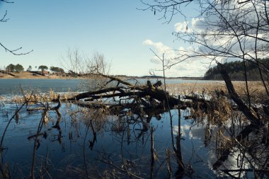 mavi gökyüzünü yansıtan bahar Orman Gölü
