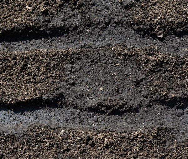 Копать и ослаблять почву на гряде, подготовленной для посадки семян — стоковое фото