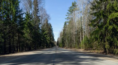 Bahar ormandaki mesafe içine kaçan yol