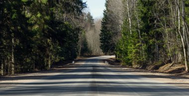 Bahar ormandaki mesafe içine kaçan yol
