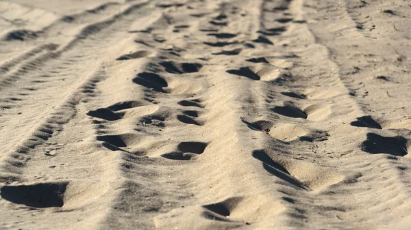 Impronte umane sulla spiaggia sabbia nella foresta — Foto Stock