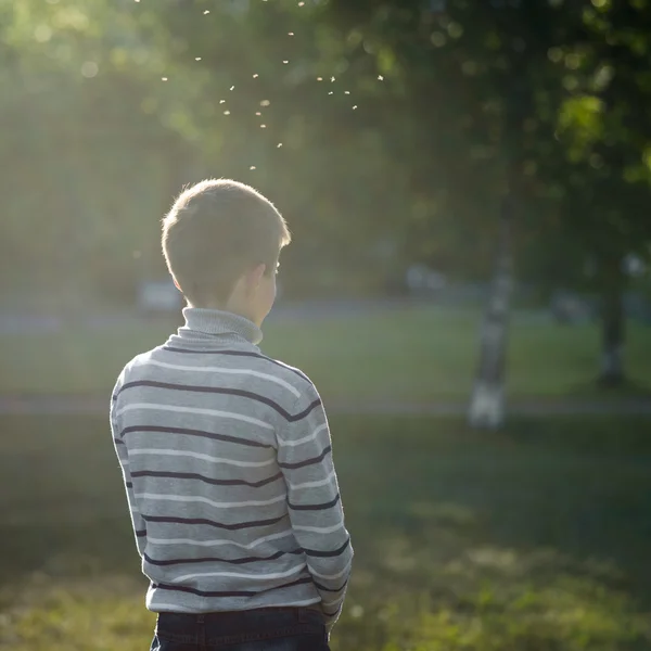 Solitario chico adolescente de pie iluminado por el sol en parque y vuelo mosquitos —  Fotos de Stock