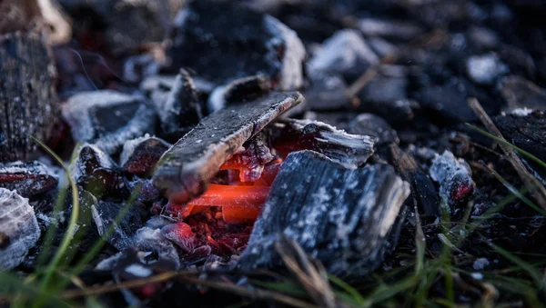 Glutnester nach Brand. Nahaufnahme — Stockfoto