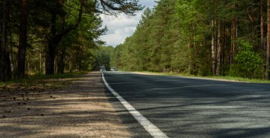 Yaz ormanda alan yol açmak