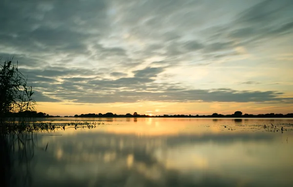 Schöner Sommersonnenuntergang am ruhigen See — Stockfoto