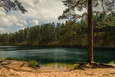 gökyüzü ve bulutlar orman gölde yansıtan