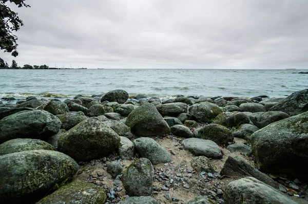 핀란드만 흐린 날에 파도 바위 해안 — 스톡 사진