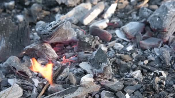 Умирающие угли в огне — стоковое видео