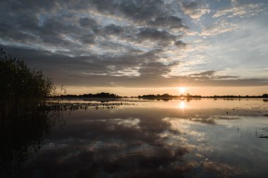 yağmur sonra göl kenarında yaz günbatımı