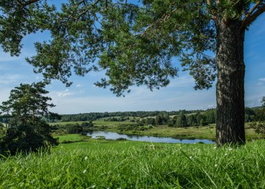Yaz manzara arka plan Nehri üzerinde yeşil Hills