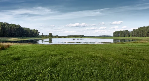 Panorama del lago de verano en el bosque de fondo y el cielo azul — Foto de Stock