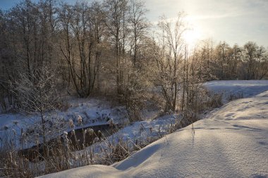 Ormanda güneşli bir kış gününün yatay görüntüsü. Nehir ve ağaçlar mavi gökyüzüne karşı.