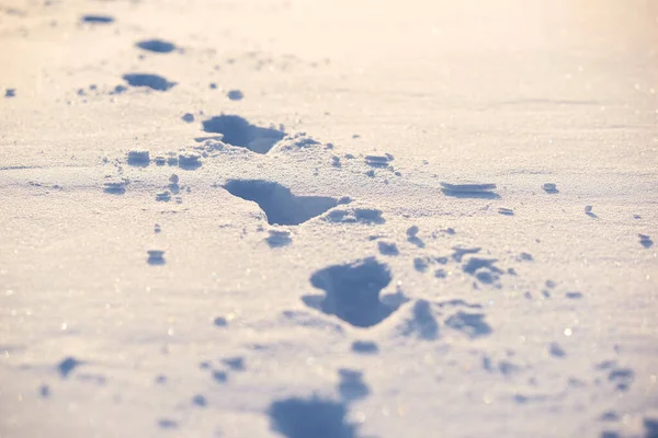 雪の上に人間の痕跡の水平ショット 冬の背景 — ストック写真