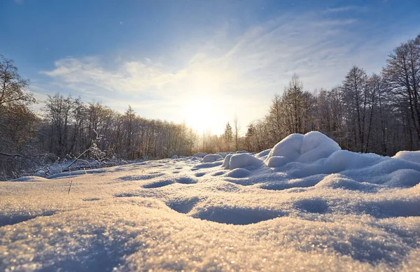 Горизонтальный Снимок Зимнего Пейзажа Блестящий Белый Снег Фоне Леса Стоковое Фото