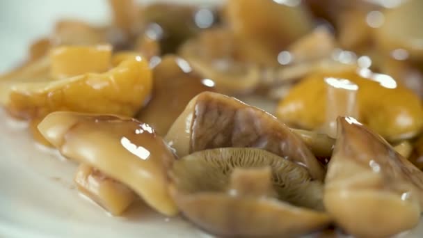 Heerlijke gemarineerde gepekelde eetbare champignons close-up. — Stockvideo
