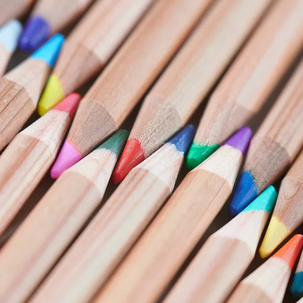 Colored wooden pencils neatly laid out background. — Stock Photo, Image