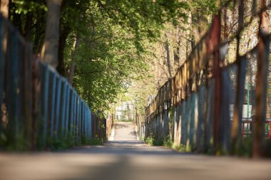 Çitler arasındaki patikanın yatay görüntüsü mesafeye gidiyor. Parkta güneşli bir gün. Önplan ve arkaplan bulanık.