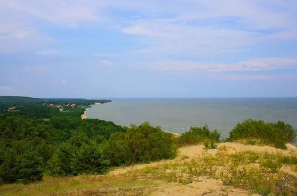 View of Dead Dunes, Curonian Spit — Stock Photo, Image