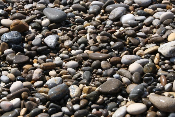 Playa de roca blanca y negra — Foto de Stock