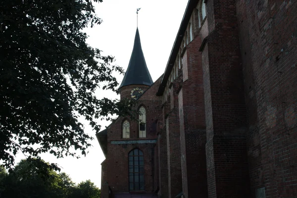 Kenigsberg 大教堂 — 图库照片