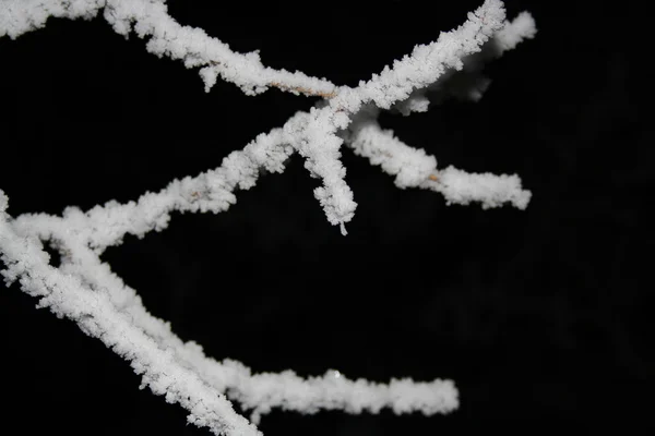 夜の光に氷のような木の枝 — ストック写真