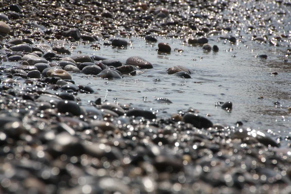 Playa de roca blanca y negra — Foto de Stock