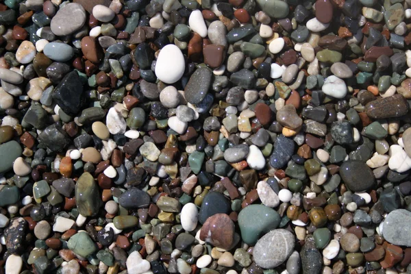 Playa de roca blanca y negra — Foto de Stock