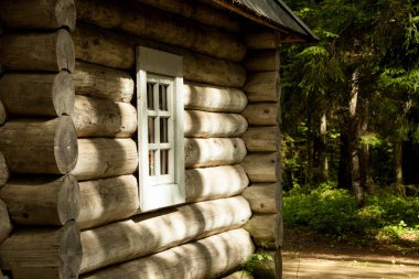 günlük kabin Rus orman içinde