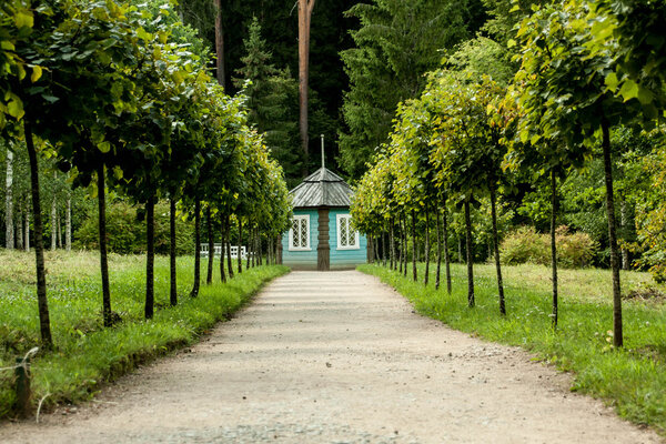 Beautiful alley in the park.