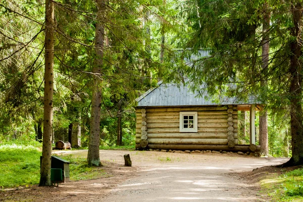 Cabana de madeira na floresta russa — Fotografia de Stock