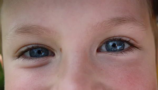 Plan macro des yeux bleus des enfants — Photo