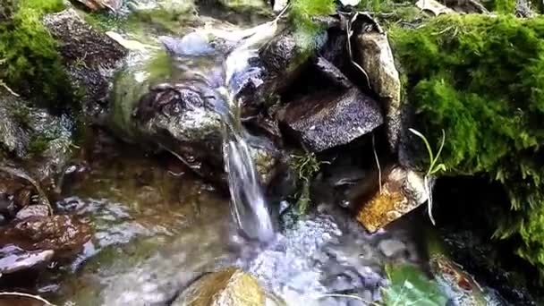 Un rápido arroyo cerca del lago en otoño — Vídeos de Stock