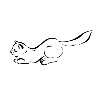 Şekil siyah çizgiler kediler