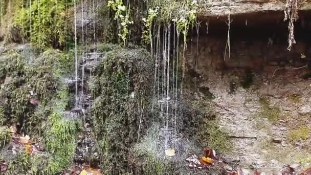 Pequena cachoeira na floresta de outono — Vídeo de Stock