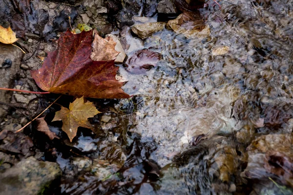 Background of pebbles seen through rippling water — Stock Photo, Image