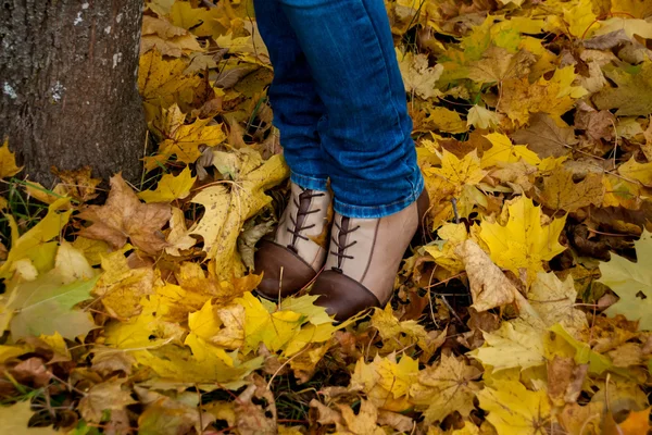 Automne, feuilles, jambes et chaussures . — Photo