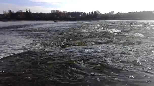 Rivière d'automne dans le ciel et le soleil — Video