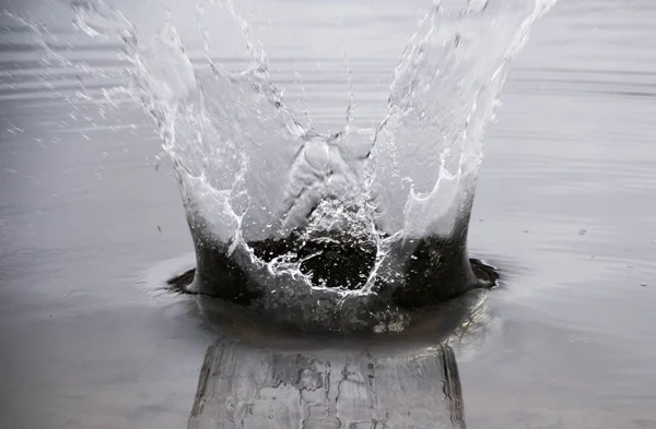 O respingo de água — Fotografia de Stock