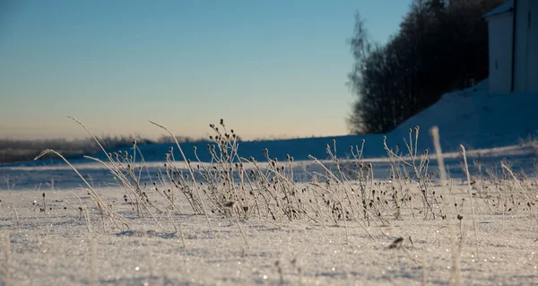 Das Gras ist mit Schnee und Frost bedeckt — Stockfoto