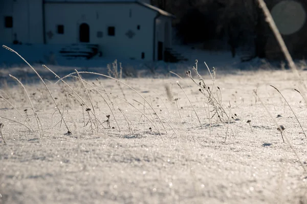 Das Gras ist mit Schnee und Frost bedeckt — Stockfoto