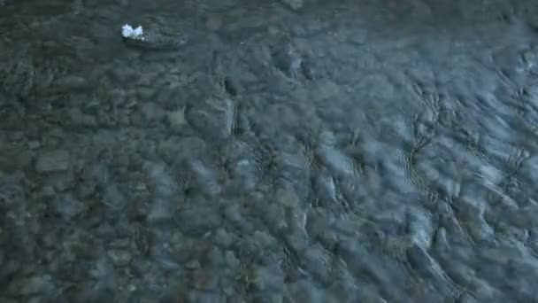 Temiz su ve çakıl taşları ile küçük hızlı akış — Stok video