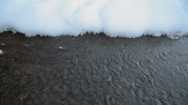 Kleiner, schneller Bach mit klarem Wasser und Kieselsteinen — Stockvideo