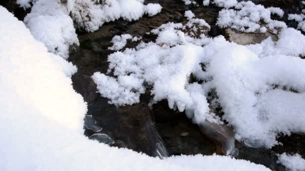 Petit ruisseau rapide, avec de l'eau claire et des cailloux — Video